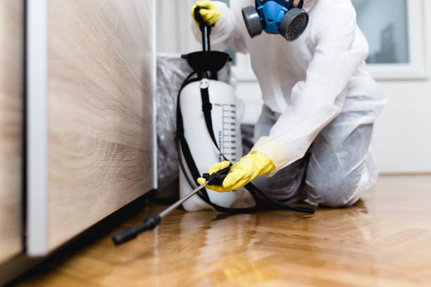 Best Wasp Removal Services  in Bellport, NY