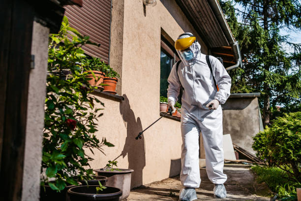 Best Wasp Removal Services  in Bellport, NY