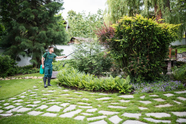 Best Affordable Pest Control Services  in Bellport, NY