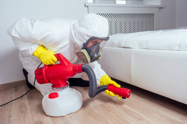 Best Bed Bug Extermination  in Bellport, NY