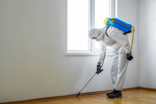 Best Flea Control Services  in Bellport, NY