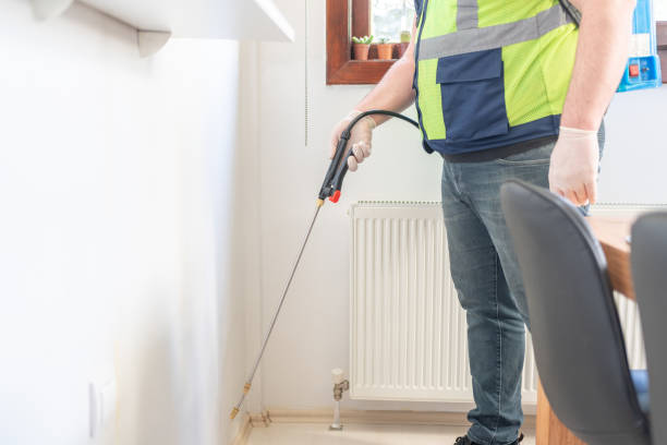 Best Local Pest Control Services  in Bellport, NY