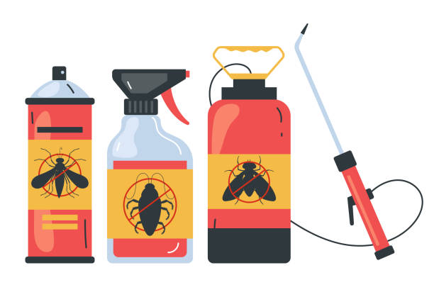 Wasp Removal Services in Bellport, NY