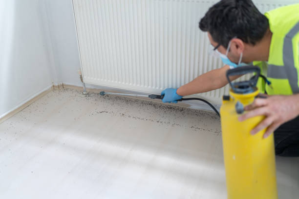 Best Bed Bug Extermination  in Bellport, NY